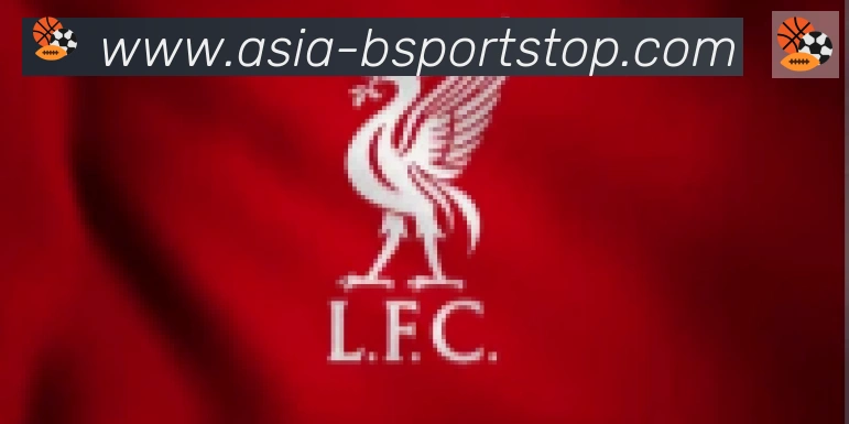 Bsports官网合作伙伴