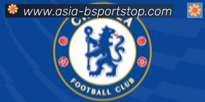 Bsports官网合作伙伴